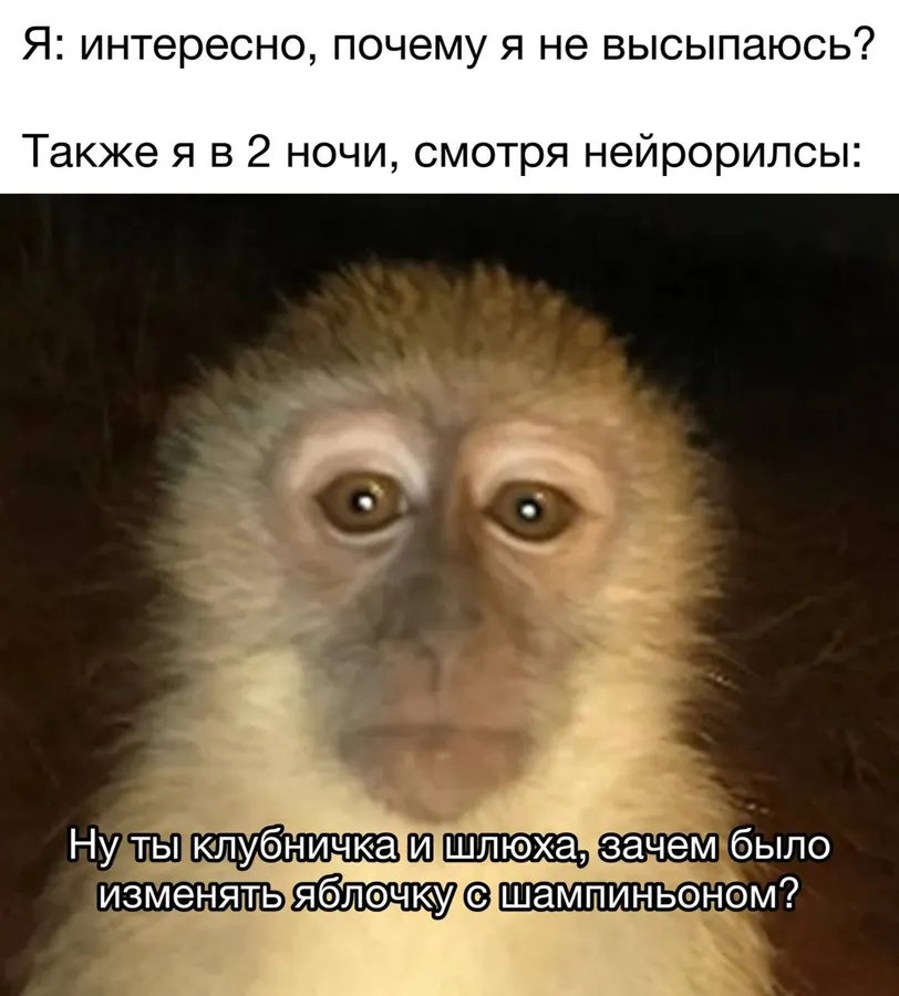 Untitled meme
