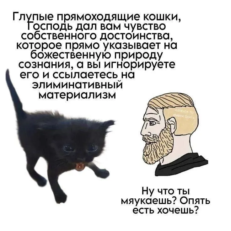 Untitled meme