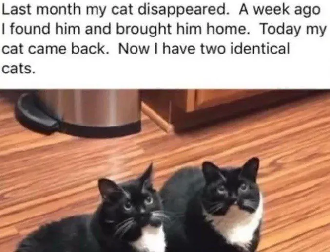 Untitled meme