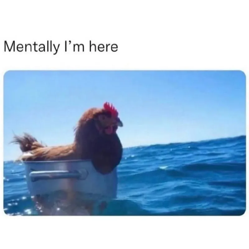 Untitled meme