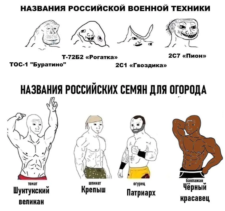 Untitled meme