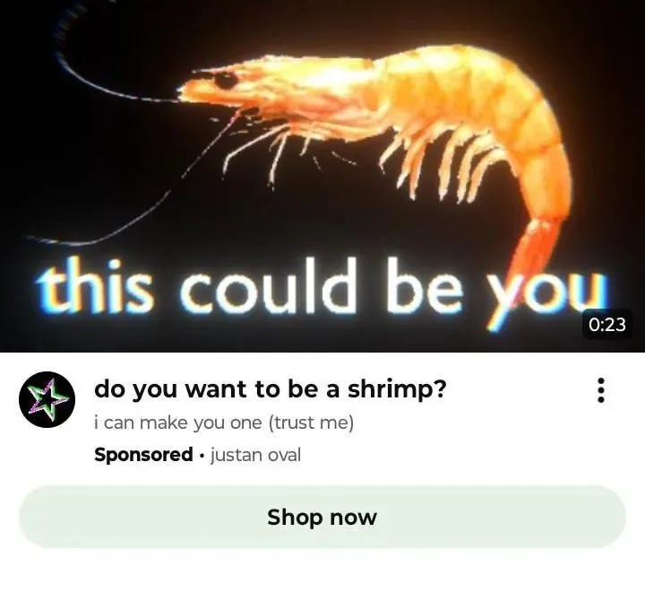 Untitled meme