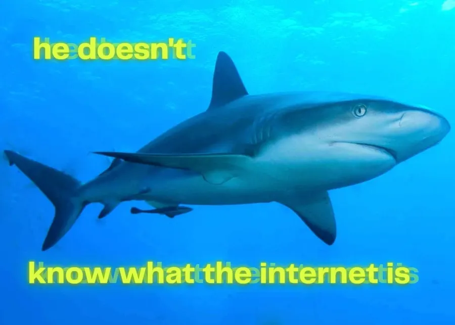 Untitled meme