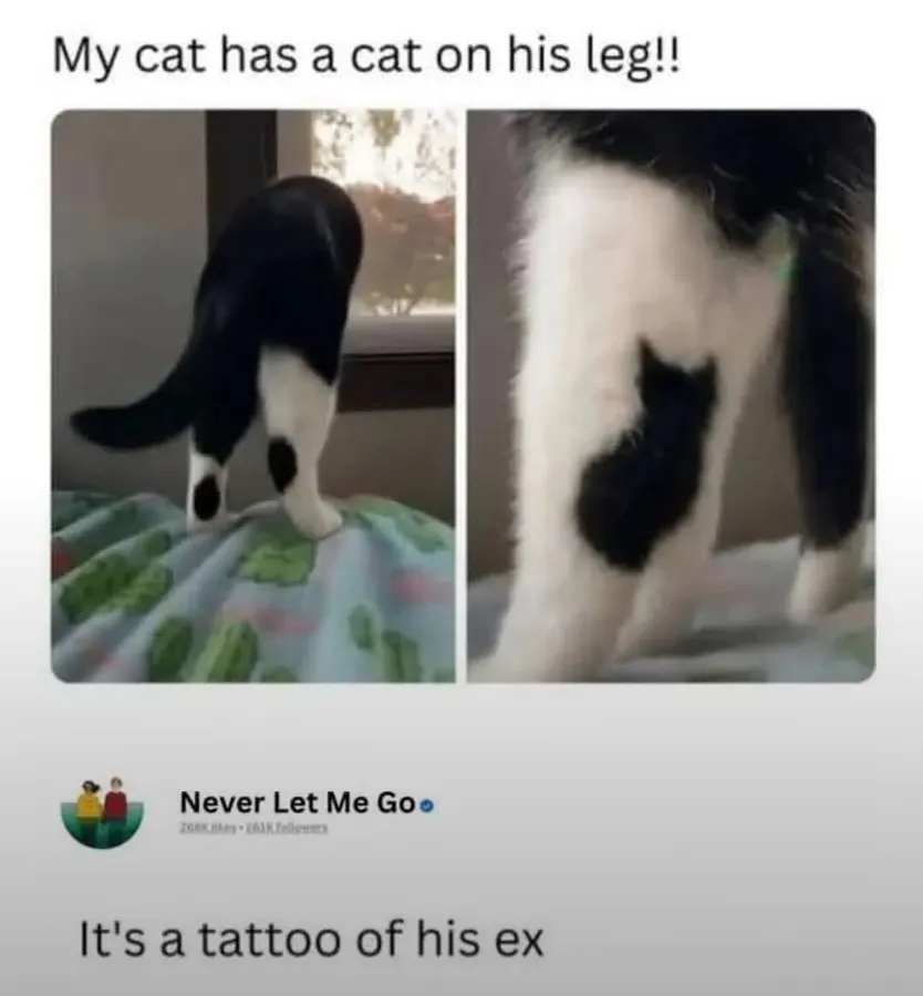 Untitled meme
