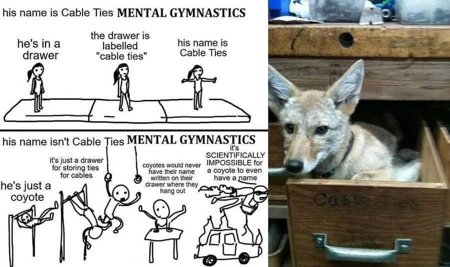 Untitled meme