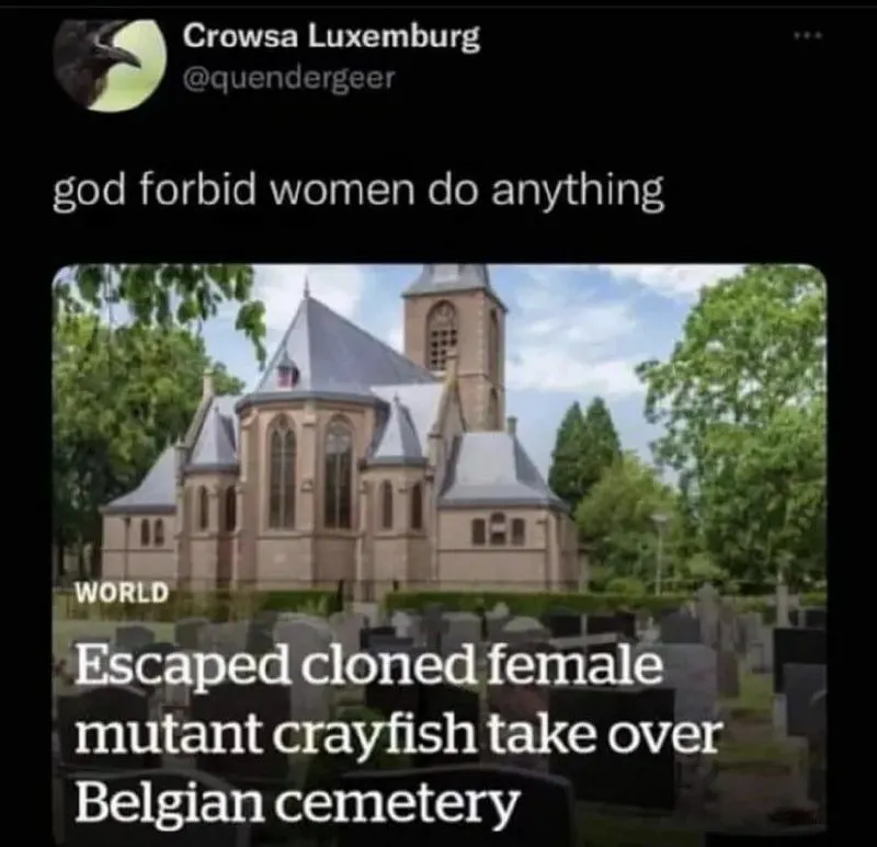 Untitled meme