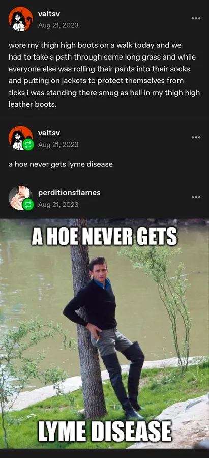 Untitled meme