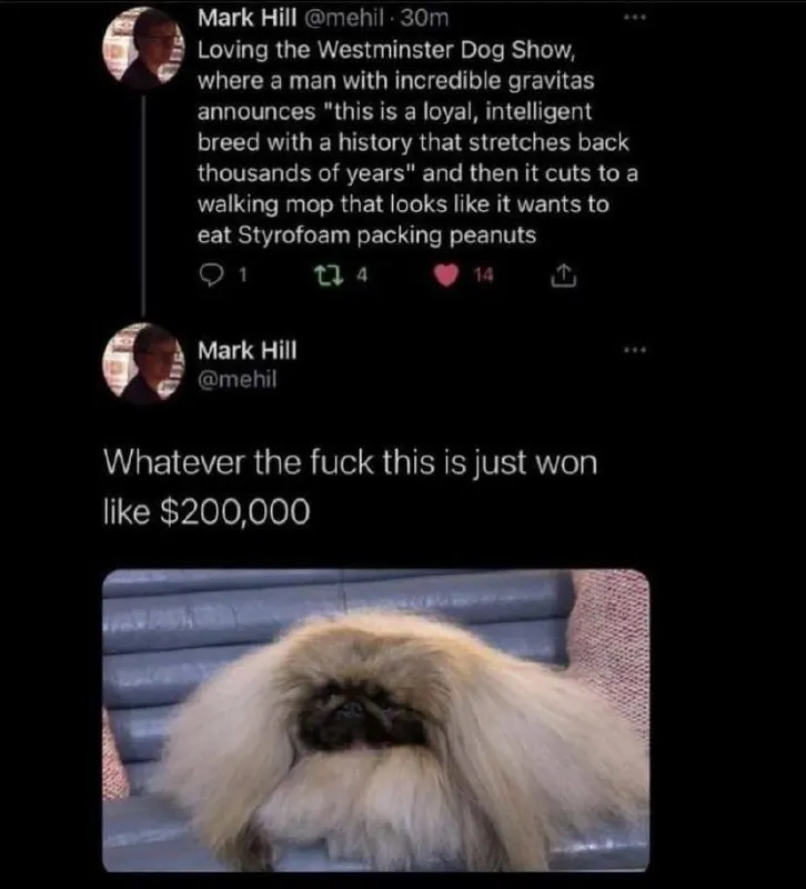 Untitled meme
