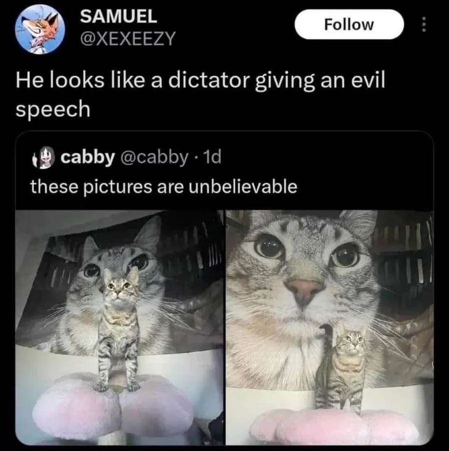 Untitled meme