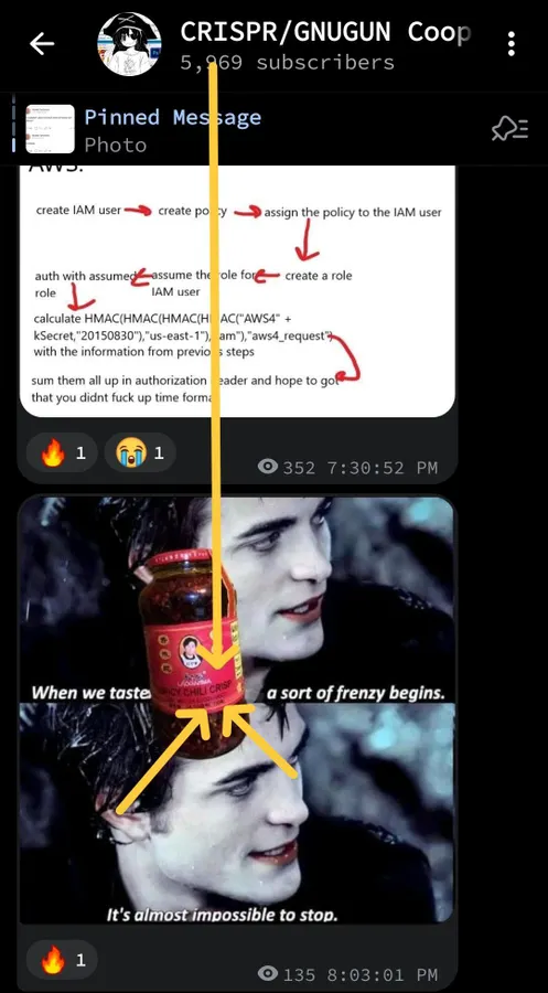 Untitled meme