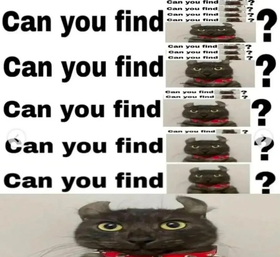 Untitled meme