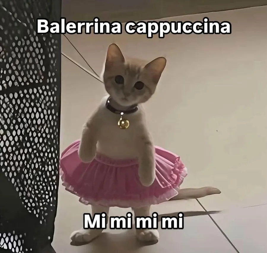 Untitled meme