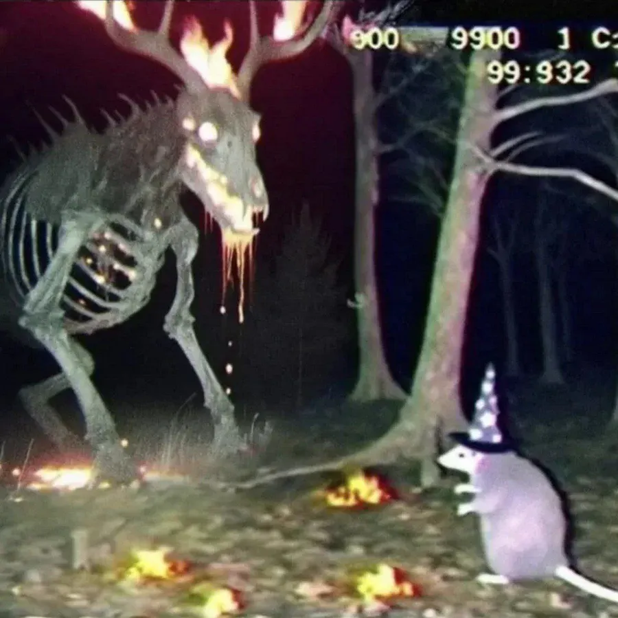Untitled meme