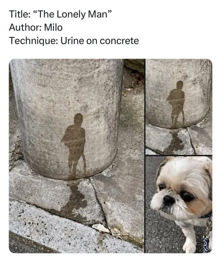 Untitled meme