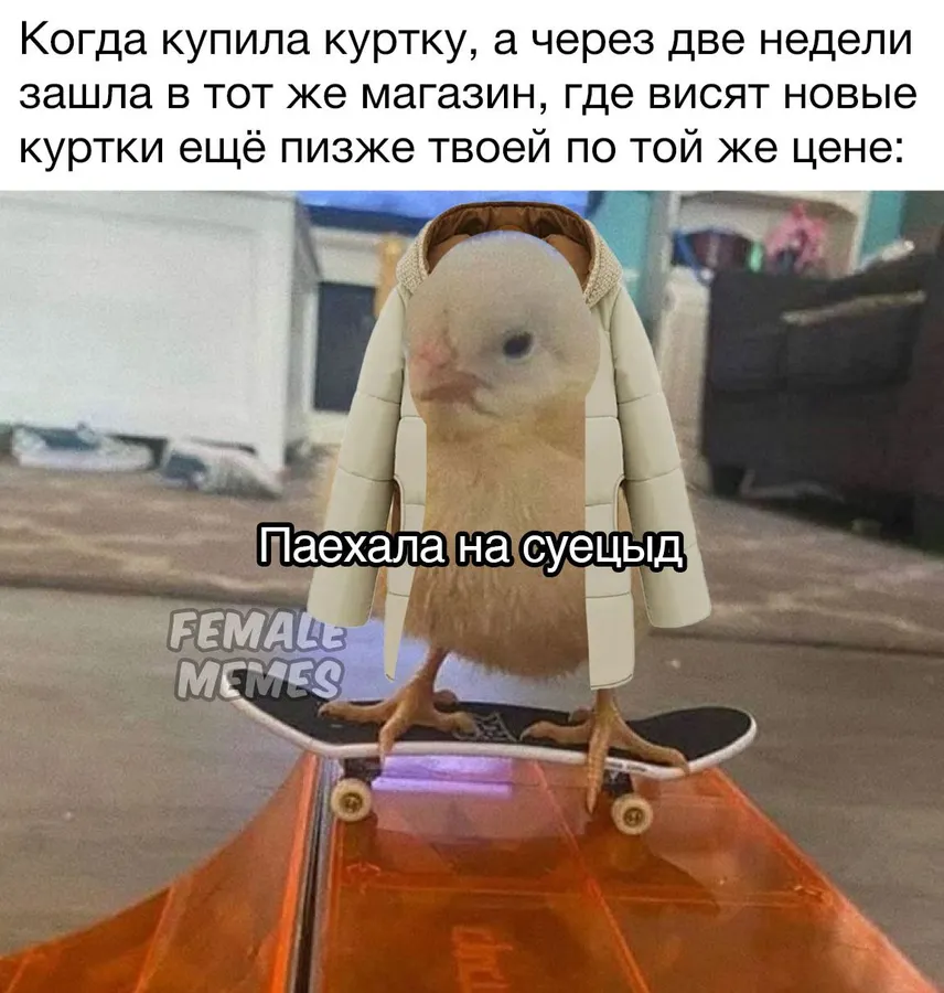 Untitled meme