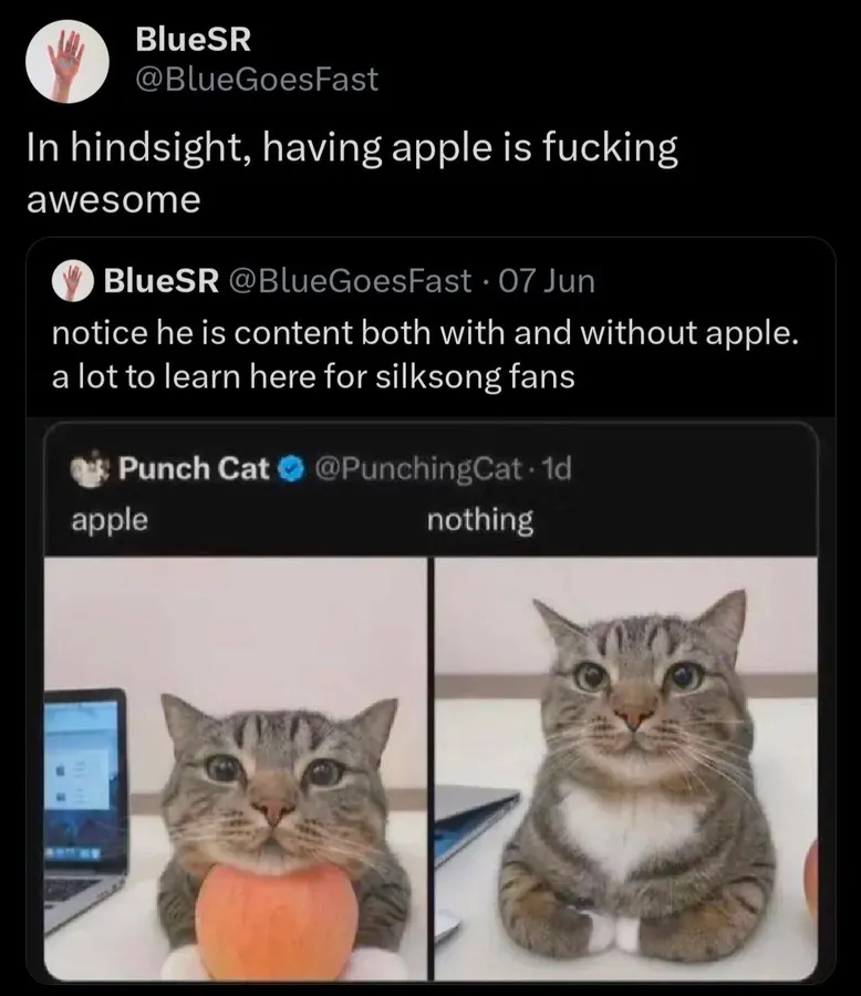 Untitled meme