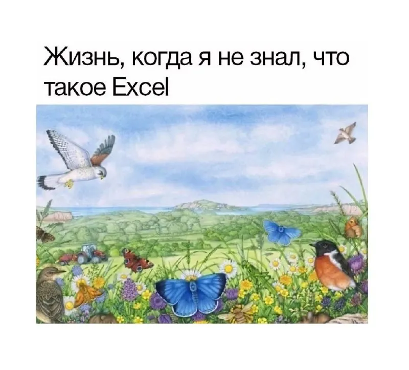 Untitled meme
