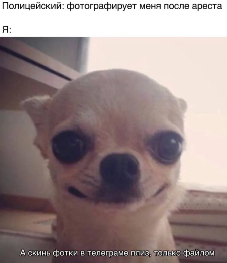 Untitled meme