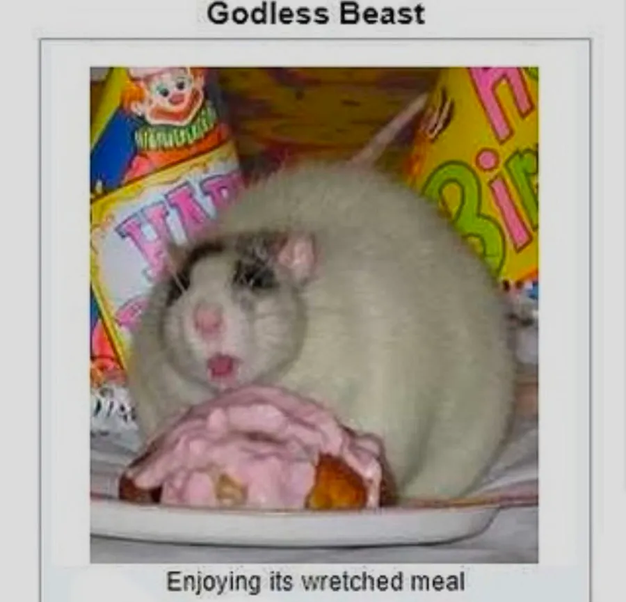 Untitled meme