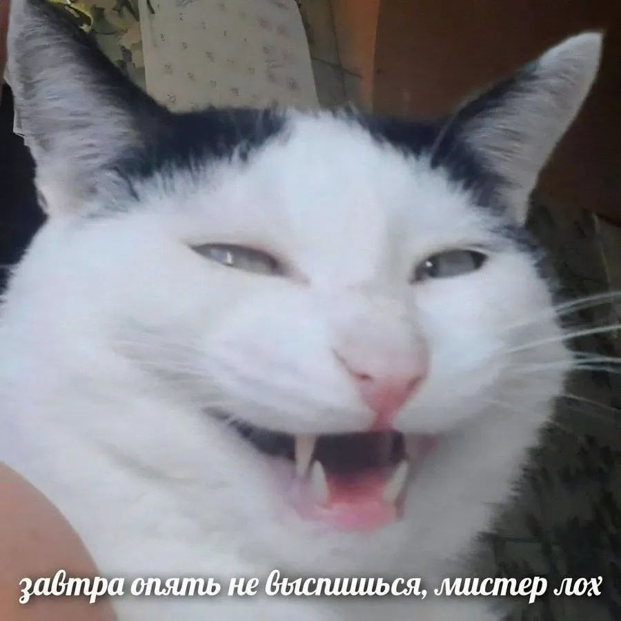 Untitled meme