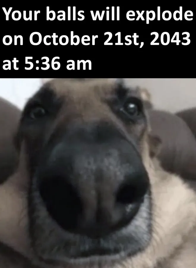 Untitled meme
