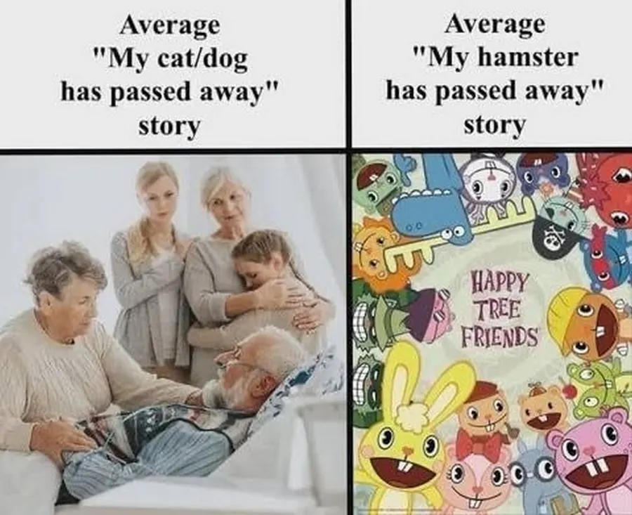 Untitled meme