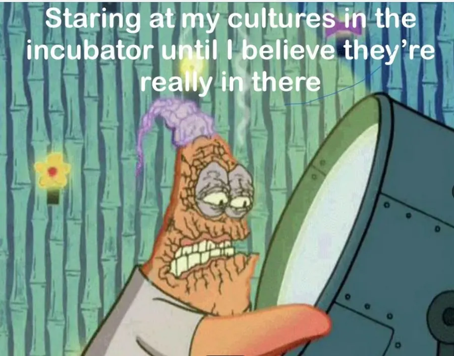 Untitled meme