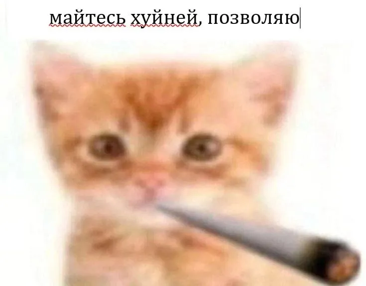 Untitled meme
