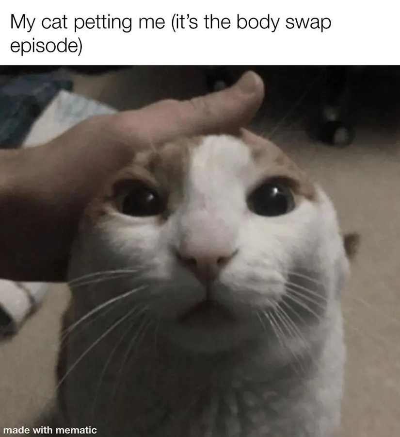 Untitled meme