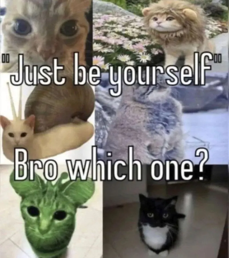 Untitled meme