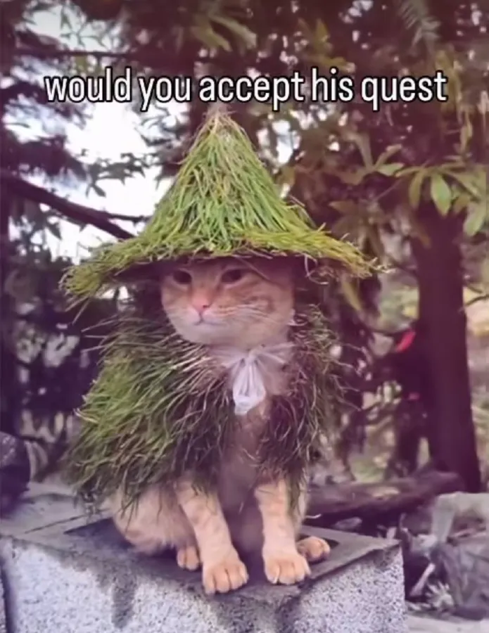 Untitled meme