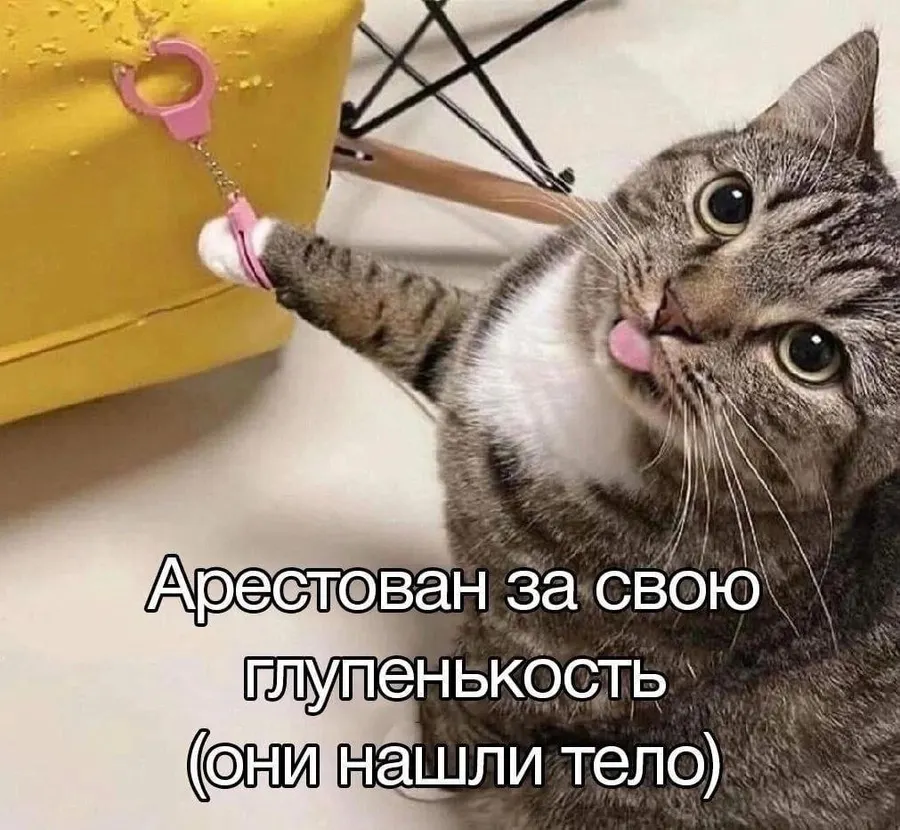 Untitled meme