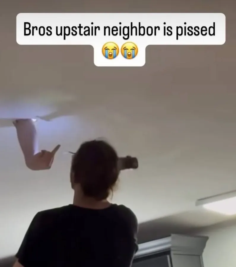 Untitled meme
