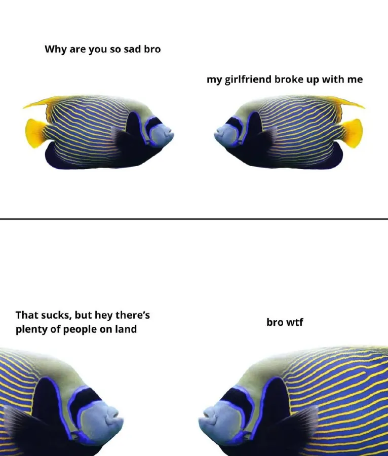 Untitled meme