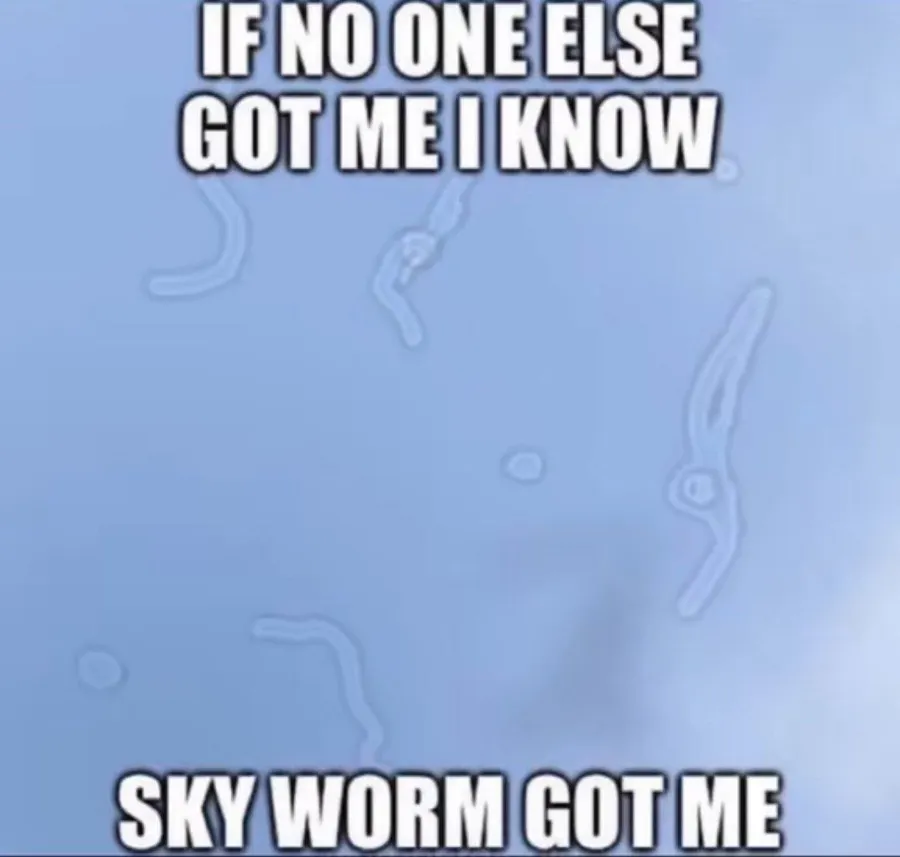 Untitled meme