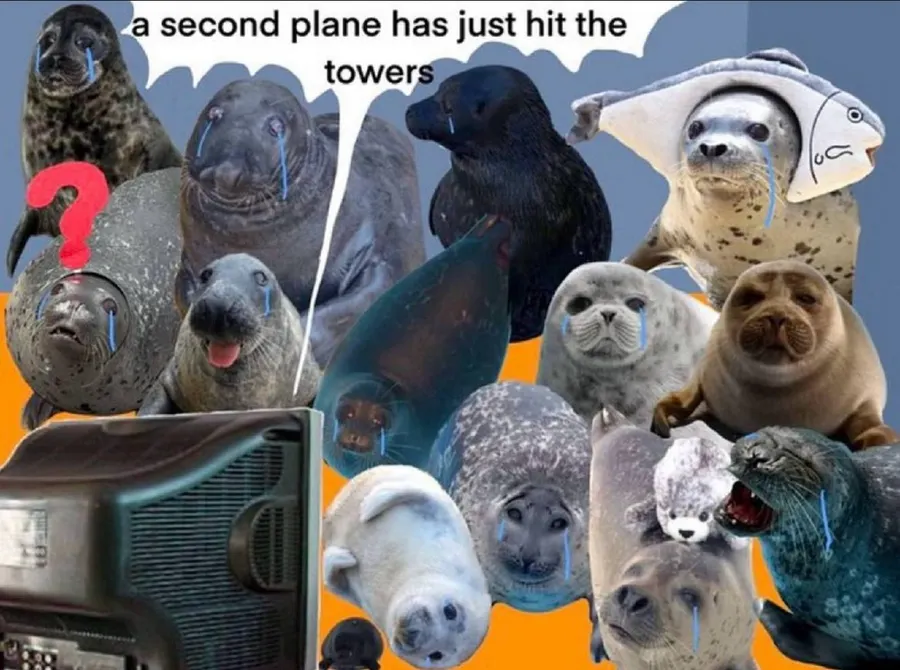 Untitled meme