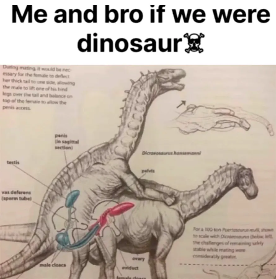 Untitled meme