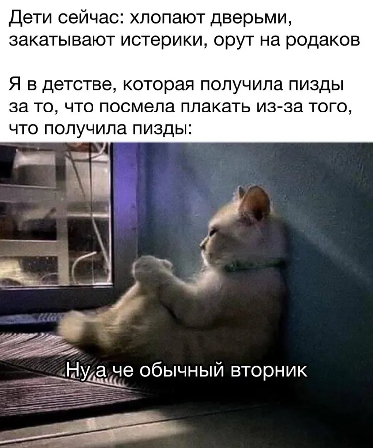 Untitled meme
