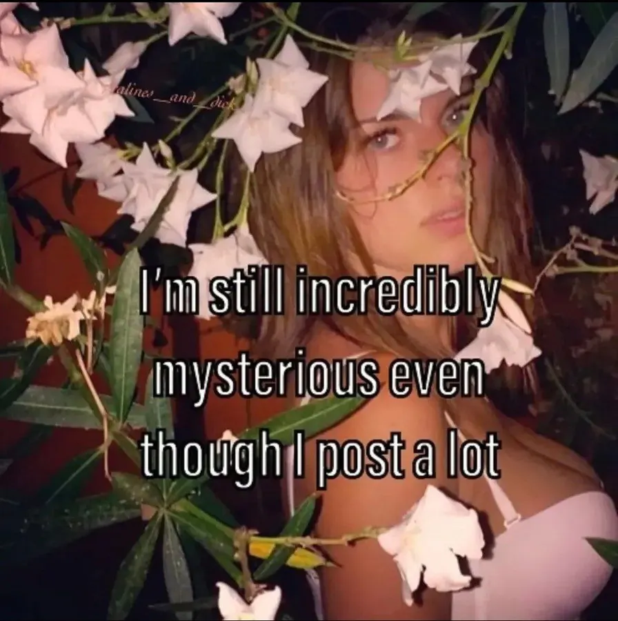 Untitled meme