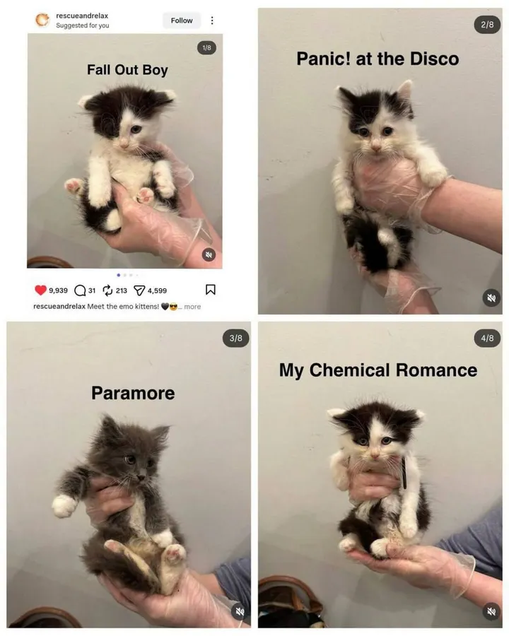 Untitled meme