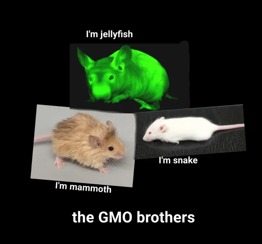 Untitled meme