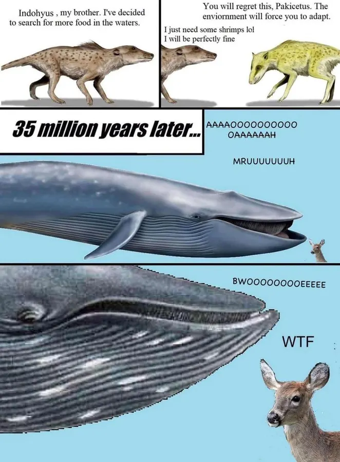 Untitled meme