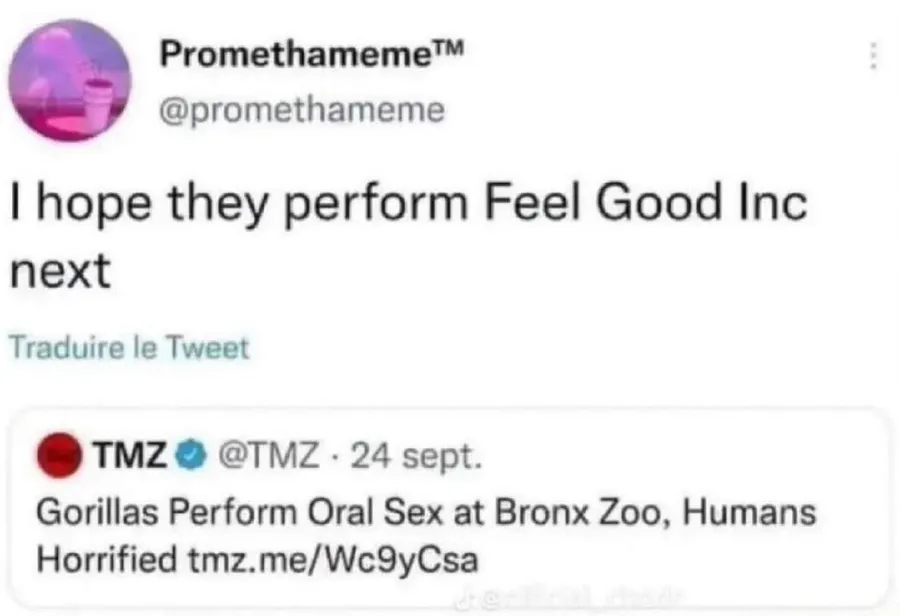 Untitled meme