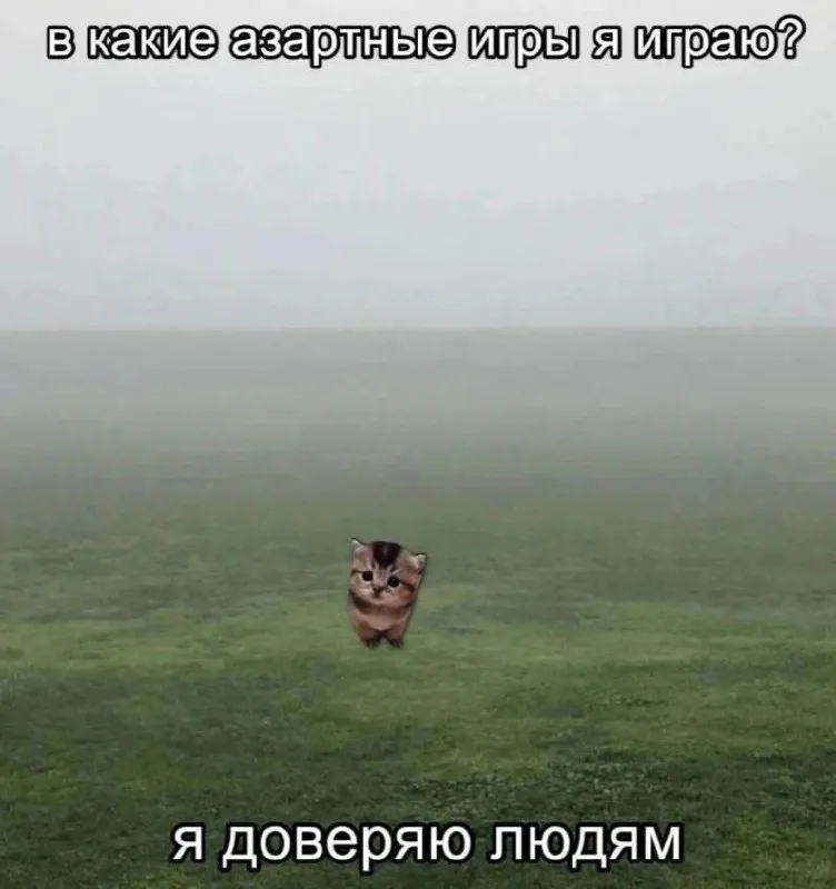 Untitled meme