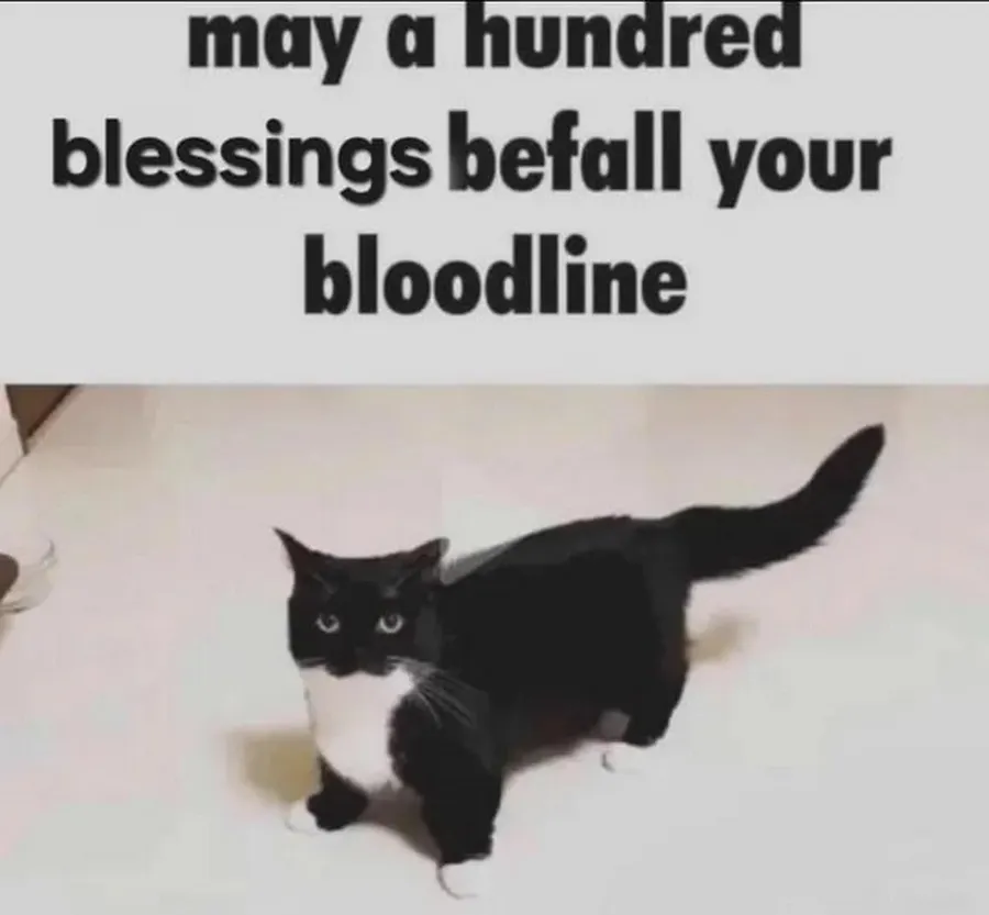 Untitled meme