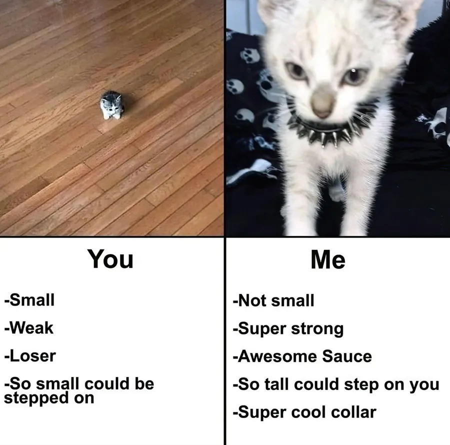 Untitled meme