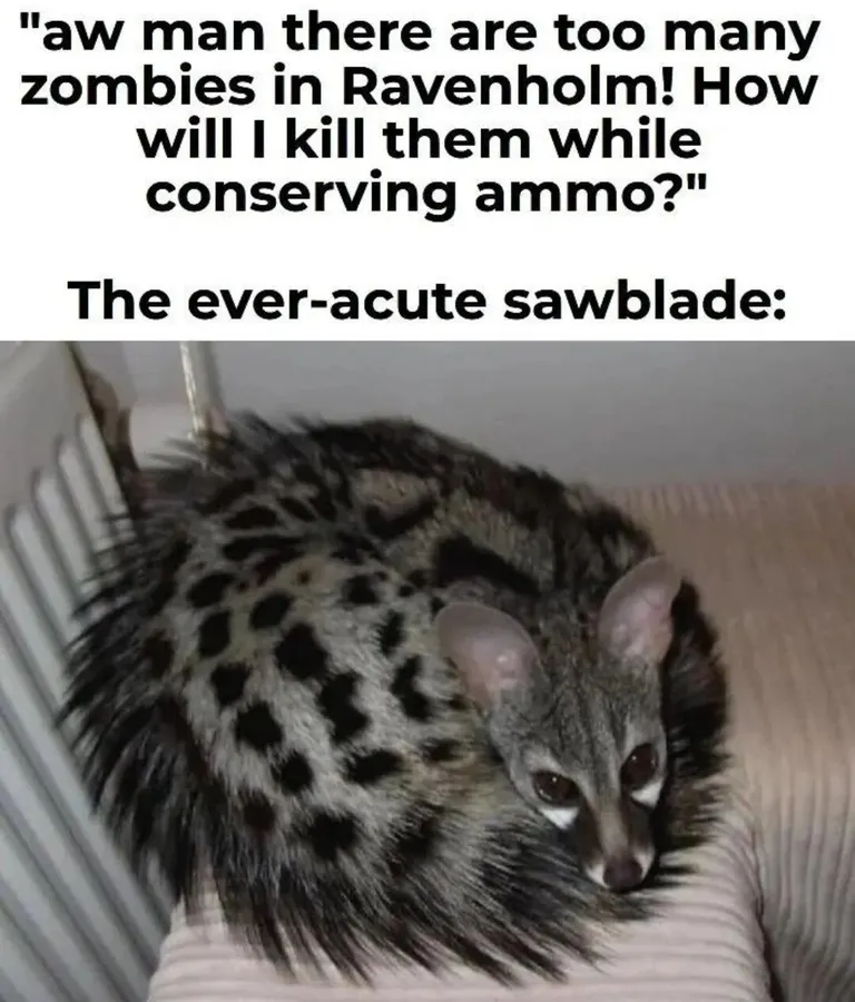 Untitled meme