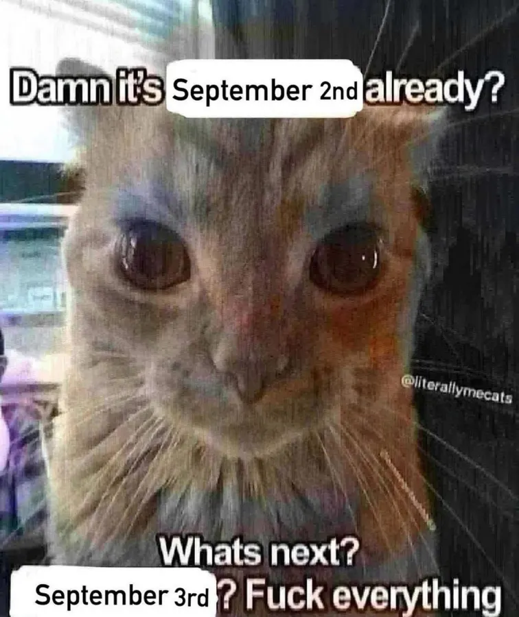 Untitled meme