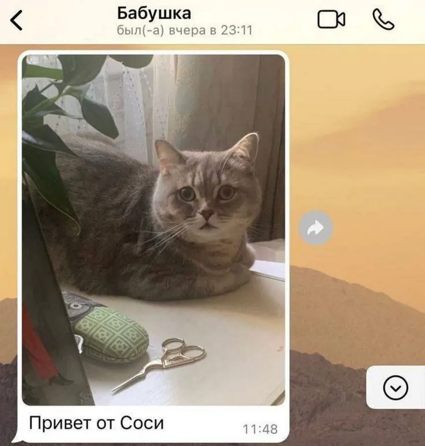 Untitled meme