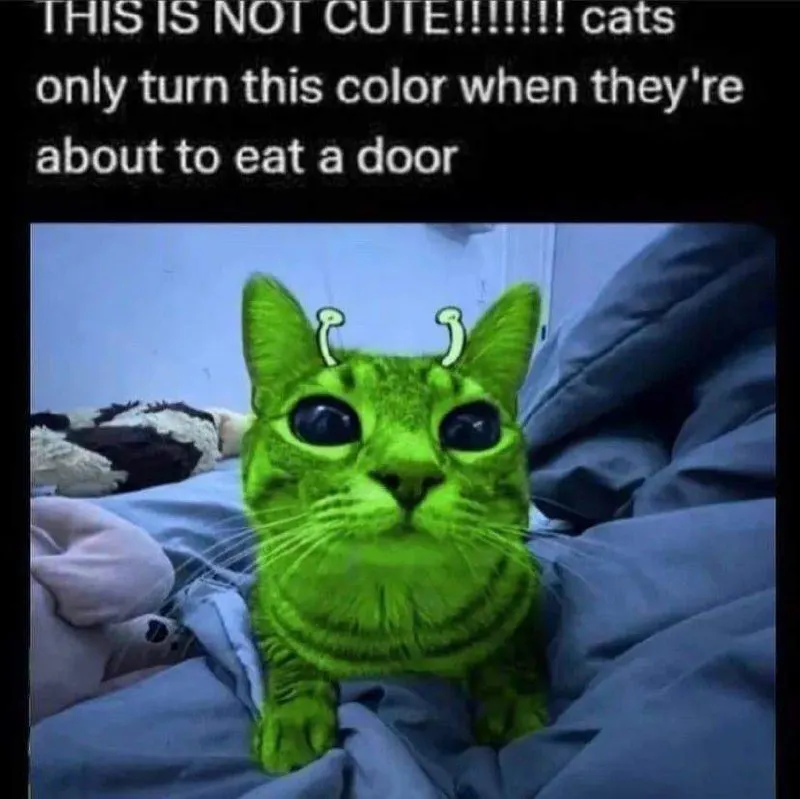 Untitled meme